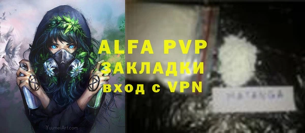 ПСИЛОЦИБИНОВЫЕ ГРИБЫ Беломорск