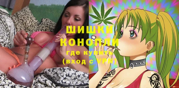 ГАЛЛЮЦИНОГЕННЫЕ ГРИБЫ Белокуриха