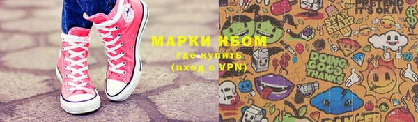 ГАЛЛЮЦИНОГЕННЫЕ ГРИБЫ Белокуриха