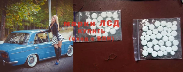 ГАЛЛЮЦИНОГЕННЫЕ ГРИБЫ Белокуриха