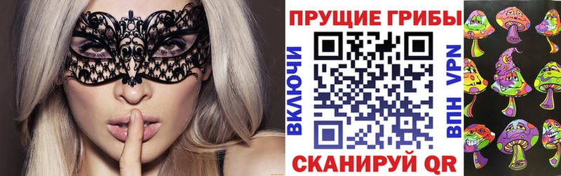 кракен ссылки Гремячинск Галлюциногенные грибы ЛСД
